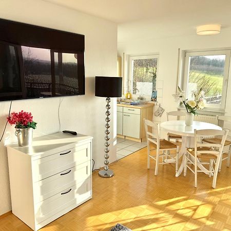 Panorama Domizil Ravensburg Mit Alpenblick Balkon Apartment Ngoại thất bức ảnh