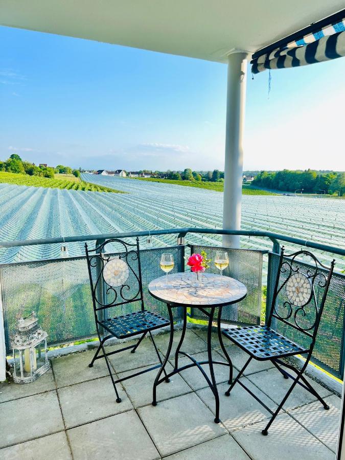 Panorama Domizil Ravensburg Mit Alpenblick Balkon Apartment Ngoại thất bức ảnh